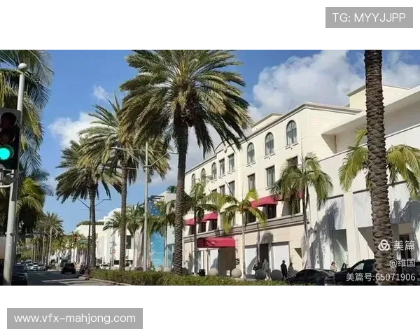 全明星地板融入棕榈树元素，彰显南加州地域特色